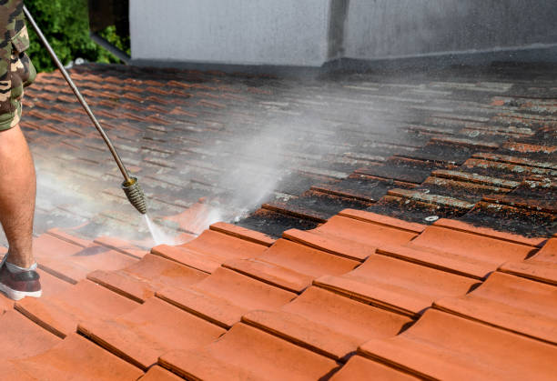 Best Roof Power Washing Services  in Watsonville, CA