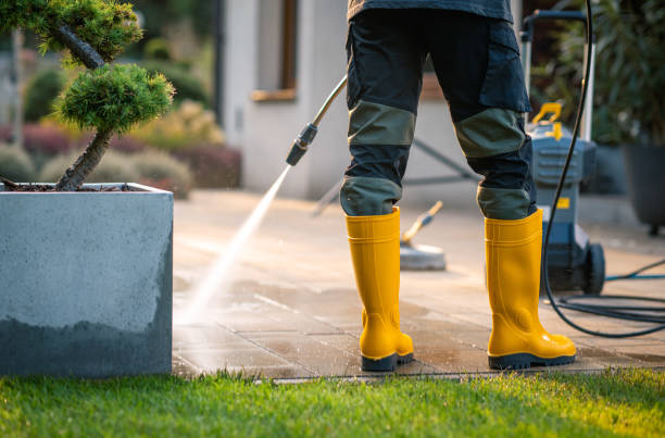 Best Pressure Washing Near Me  in Watsonville, CA